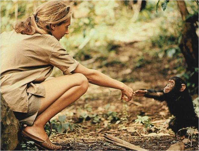 Goodall with Flint as an infant