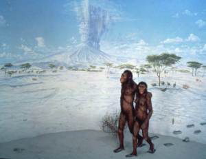 Australopithecus afarensis ("Lucy"), out with her date. Source: AMNH.