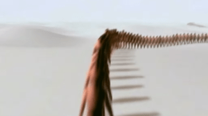 A chain of ancestors stretching back in time.