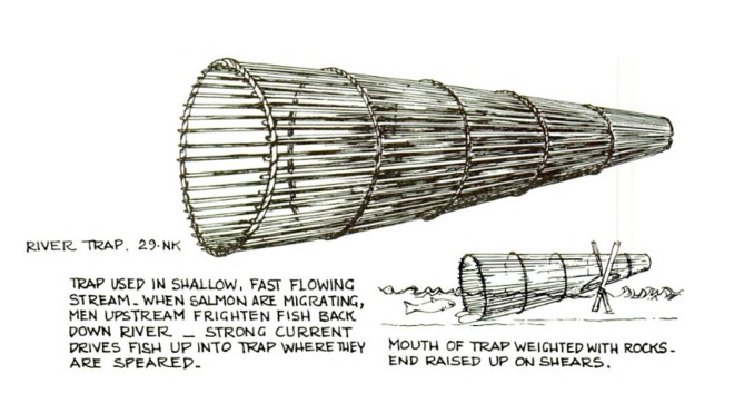 Native American fishing trap from the Pacific Northwest. The analogy here is that our biases make it easier to accept ideas from certain directions (Source: Stewart 1977, p. 114).