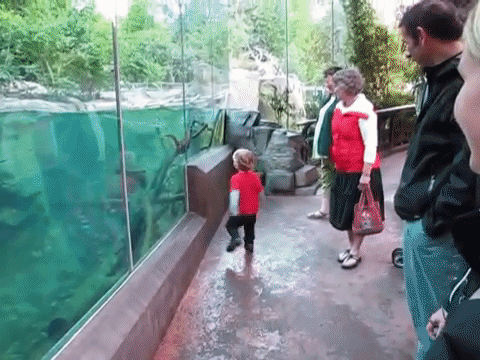 otter-playing-with-boy